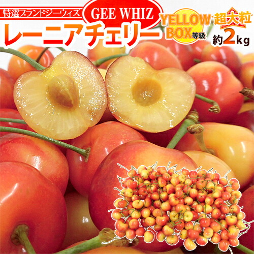 ”アメリカ産 ジーウィズ レーニアチェリー” 約2kg イエロー等級 さくらんぼ【予約 6月下旬以降】 送料無料