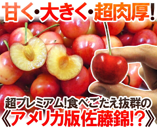 アメリカ産 ”レーニアチェリー” 超大粒 約3kg【予約 6月下旬以降】 アメリカ産 ”レーニアチェリー” 超大粒 約3kg【予約 6月下旬以降】