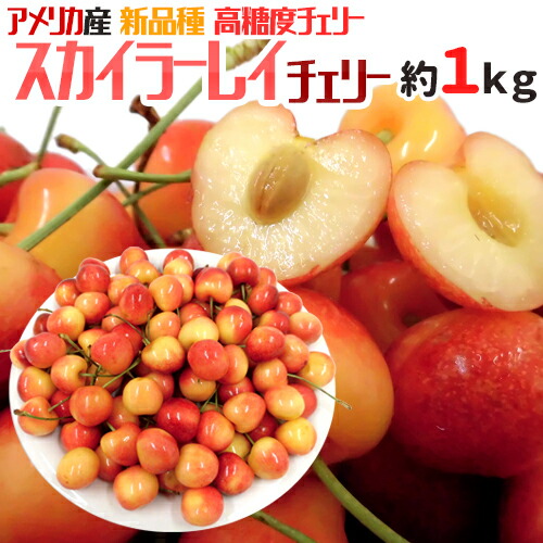 131-skylarrae1kg01.jpg