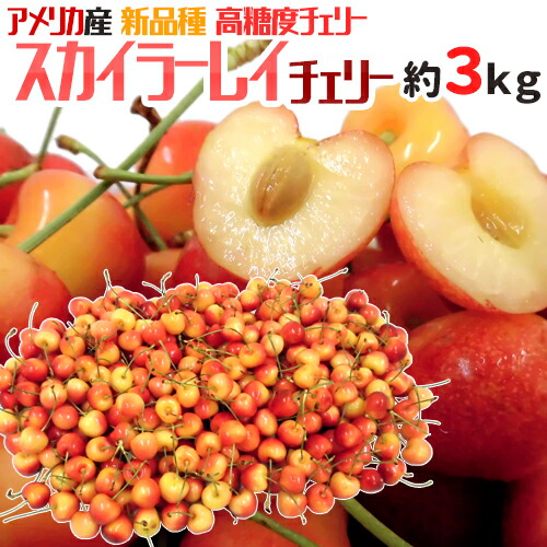”アメリカ産 スカイラーレイチェリー” 約3kg さくらんぼ【予約 6月下旬以降】 送料無料