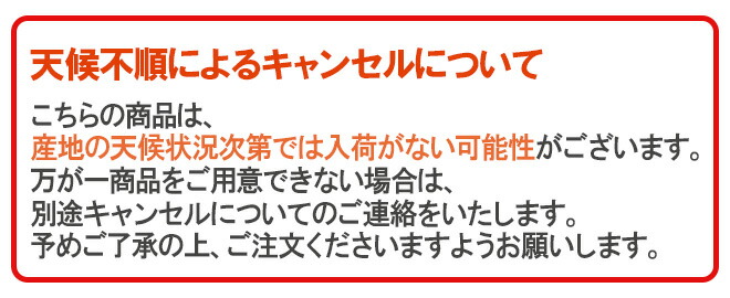 最旬ダウン アメリカ産 ”レーニアチェリー” 超大粒 約3kg さくらんぼ 予約 6月下旬以降 送料無料  whitesforracialequity.org