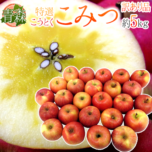 青森県 蜜だらけりんご Rdquo こみつ Rdquo 訳あり 大きさおまかせ 約5kg こうとくりんご 予約 12月以降 1ページ ｇ ランキング