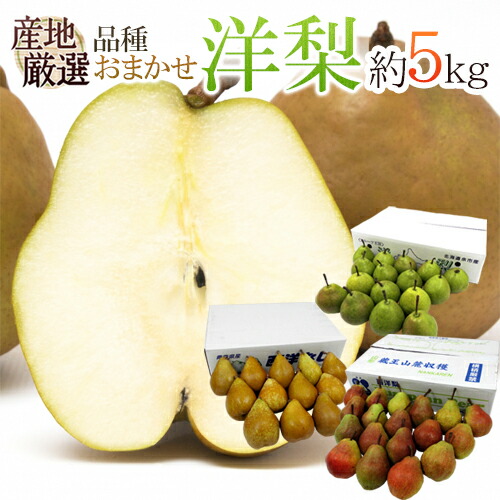 新鮮な洋梨 たくさん入った箱 楽天市場】”洋梨” 訳あり 約5kg 品種おまかせ 大きさおまかせ 産地厳選