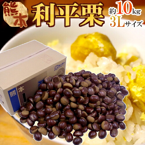 ”利平栗” 秀品 超大粒3L 約10kg 熊本産・愛媛産など【予約 9月下旬以降】 送料無料|くらし快援隊~母の日父の日お中元