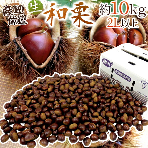 青森県産　新鮮な生栗　小サイズ10kg 048-waguri2l10kg01.jpg