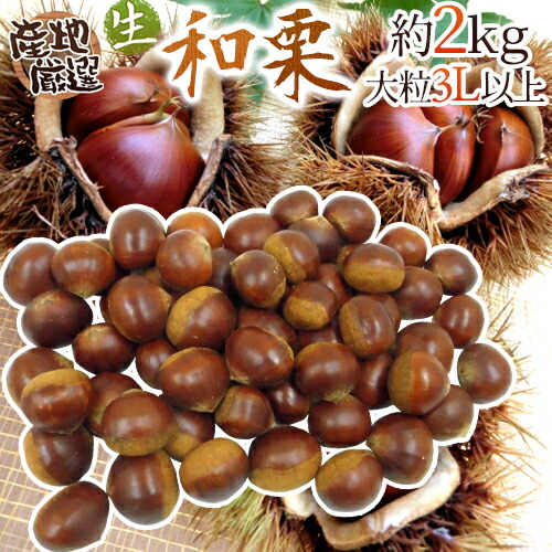 楽天市場】”国産和栗” 秀品 大粒2Lサイズ以上 約2kg 産地厳選 生