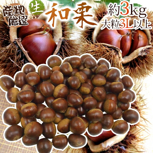 茨城県産　和栗大きめ5キロ2Lサイズ以上 茨城県産 和栗大きめ2キロ2Lサイズ以上 - メルカリ