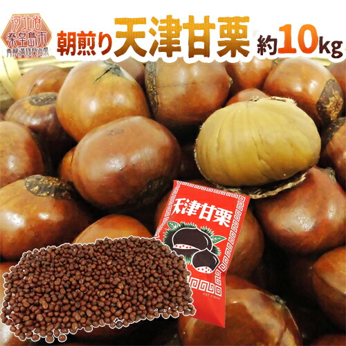 【ひかり】です‼️ビックサイズ‼️焼きたて‼️天津甘栗5キロ入り 楽天市場】”天津甘栗” 約5kg（約500g×10pc） こだわり産地限定！採れた