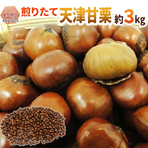 楽天市場】”天津甘栗” 約5kg（約500g×10pc） こだわり産地限定