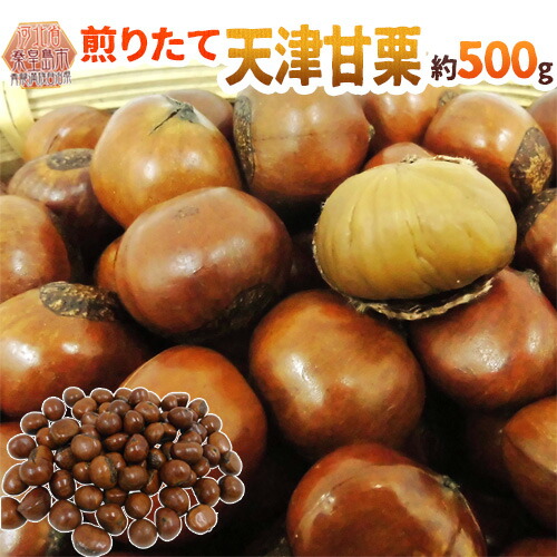 101-tenshin500g01.jpg