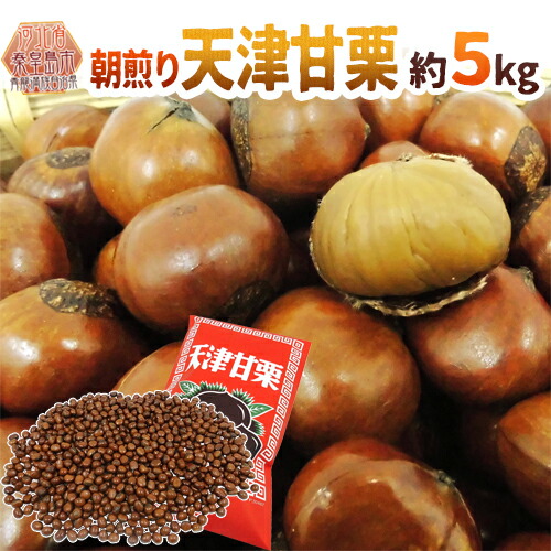 甘栗　専用 特選大粒甘栗 400g×1パック 賞味期限30日 無添加 天津甘栗 皮付 横浜