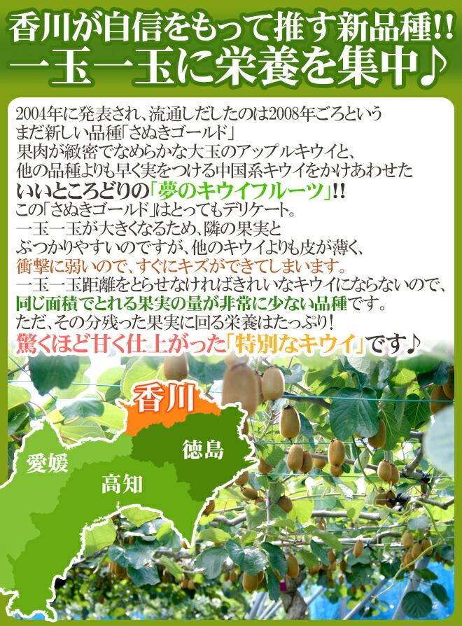 即納 香川県 ”さぬきゴールド” 秀品 超大玉4L以上 16玉 約3〜3.5kg 送料無料 somaticaeducar.com.br