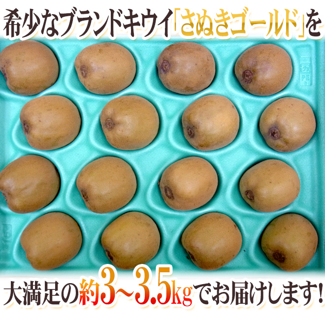 即納 香川県 ”さぬきゴールド” 秀品 超大玉4L以上 16玉 約3〜3.5kg 送料無料 somaticaeducar.com.br