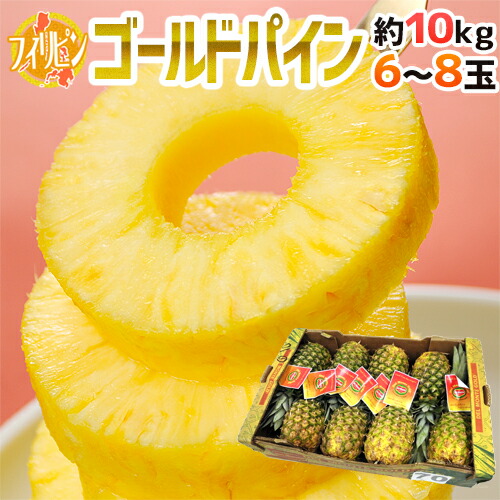フィリピン産 ”ゴールデンパイン” 大玉 6～8玉 約10kg【予約 入荷次第発送】 送料無料