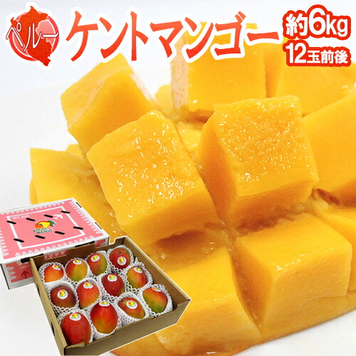 ペルー産 ”ケントマンゴー” 大玉12玉前後 約6kg 航空便【予約 入荷次第発送】 送料無料