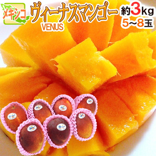 メキシコ産 ”ヴィーナスマンゴー” 大玉5～8玉 約3kg 航空便 ビーナスマンゴー【予約 5月下旬以降】 送料無料