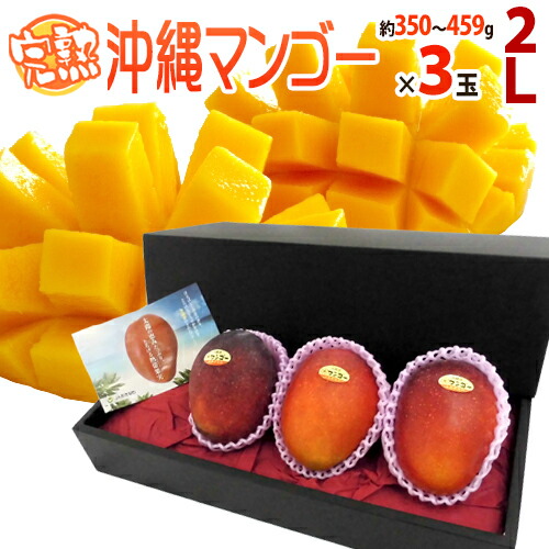 ”沖縄産 完熟マンゴー” 秀品 大玉2L 3玉 化粧箱 沖縄マンゴー【予約 7月以降】 送料無料