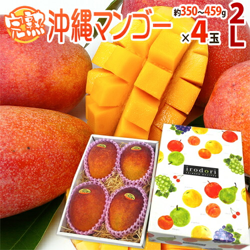 ”沖縄産 完熟マンゴー” 秀品 大玉2L 4玉 化粧箱 沖縄マンゴー【予約 7月以降】 送料無料