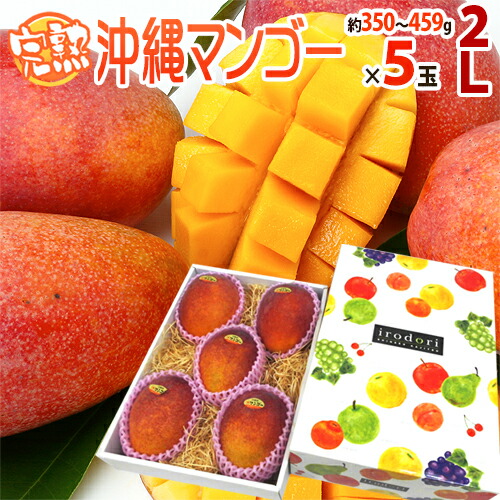 ”沖縄産 完熟マンゴー” 秀品 大玉2L 5玉 化粧箱 沖縄マンゴー【予約 7月以降】 送料無料
