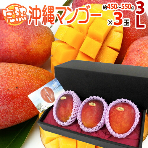 ”沖縄産 完熟マンゴー” 秀品 超大玉3L 3玉 化粧箱 沖縄マンゴー【予約 7月以降】 送料無料
