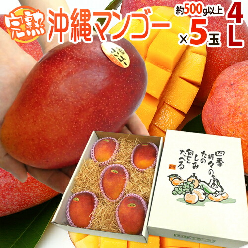 ”沖縄産 完熟マンゴー” 秀品 特大玉4L 5玉 化粧箱 沖縄マンゴー【予約 7月以降】 送料無料