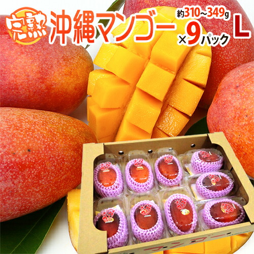 沖縄産 ”完熟マンゴー” 秀品 L 1玉×9パック 沖縄マンゴー【予約 7月以降】