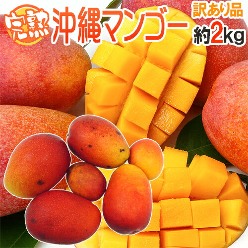 ”沖縄産 完熟マンゴー” 訳あり 4～8玉前後 約2kg 沖縄マンゴー【予約 7月下旬以降】 送料無料