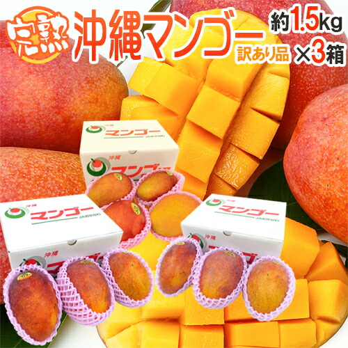 沖縄産 ”完熟マンゴー” 訳あり 約1.5kg×《3箱》 9～15玉前後 産地箱 沖縄マンゴー【予約 7月下旬以降】 送料無料