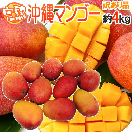 ”沖縄産 完熟マンゴー” 訳あり 8～16玉前後 約4kg 沖縄マンゴー【予約 7月下旬以降】 送料無料