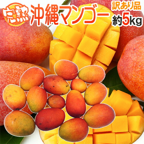 ”沖縄産 完熟マンゴー” 訳あり 10～20玉前後 約5kg 沖縄マンゴー【予約 7月下旬以降】 送料無料