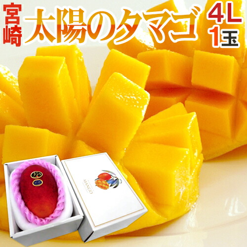 【お届け日指定可能】宮崎マンゴー ”太陽のタマゴ” 4Lサイズ 1玉 化粧箱 送料無料