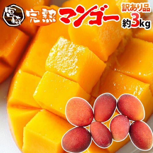 ”宮崎マンゴー” 訳あり 6～12玉前後 約3kg【予約 5月下旬～6月以降】 送料無料