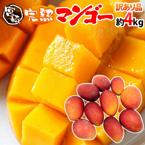 ”宮崎マンゴー” 訳あり 8～16玉前後 約4kg【予約 5月下旬～6月以降】 送料無料