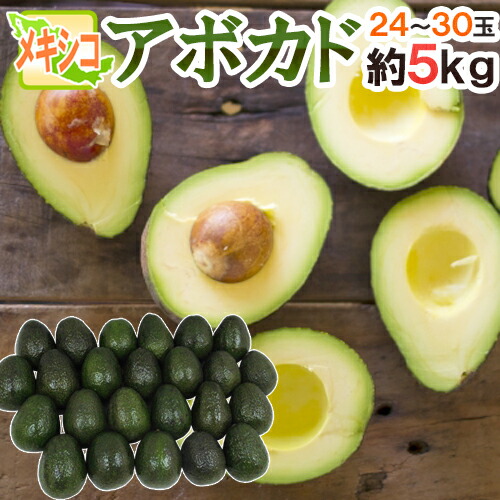 メキシコ産 ”アボカド” 24～30玉 約5kg 送料無料