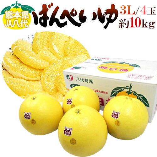 晩白柚 晩白柚3Lサイズ2玉入り 約5kg【熊本県産】八代特産品 ばんぺいゆ 柑橘