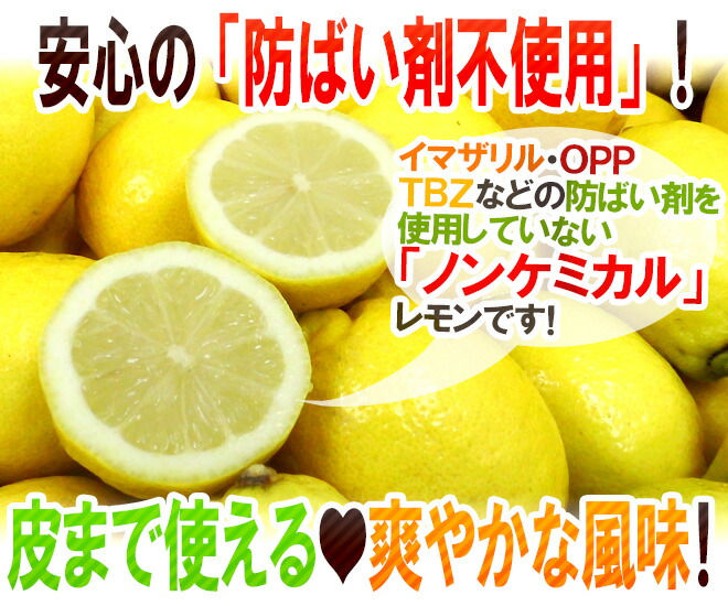 チリ・アメリカ産など ”ノンケミレモン” 大きさおまかせ 約10kg 安心の防ばい剤不使用!ノンケミカル/防黴剤(防かび剤)不使用【楽ギフ_包装】 チリ・アメリカ産など ”ノンケミレモン” 大きさおまかせ 約10kg 安心の防ばい剤不使用!ノンケミカル/防黴剤(防かび剤)不使用【楽ギフ_包装】