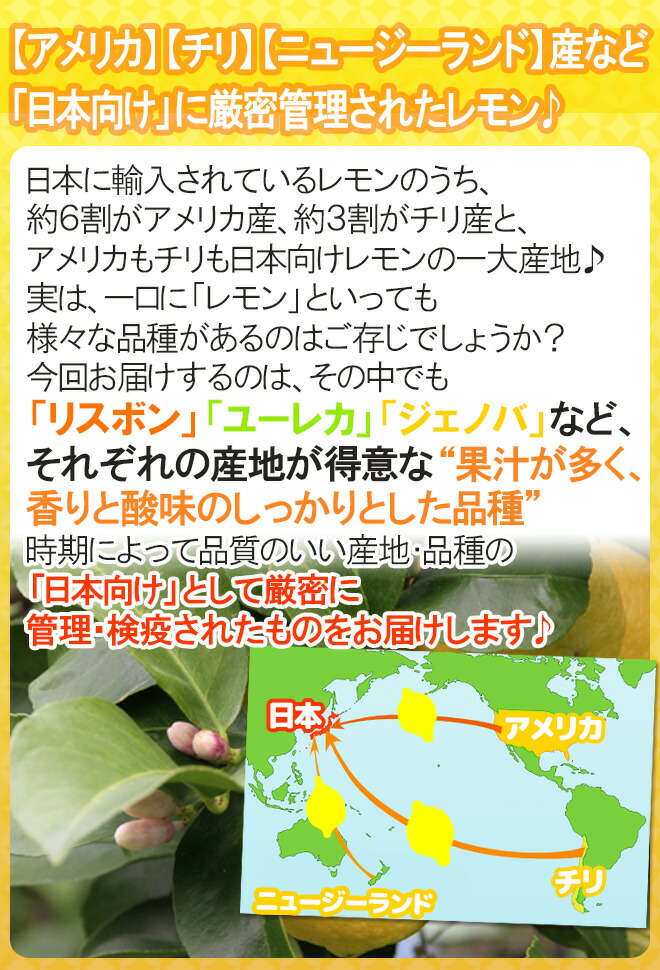 チリ・アメリカ産など ”ノンケミレモン” 大きさおまかせ 約10kg 安心の防ばい剤不使用!ノンケミカル/防黴剤(防かび剤)不使用【楽ギフ_包装】 チリ・アメリカ産など ”ノンケミレモン” 大きさおまかせ 約10kg 安心の防ばい剤不使用!ノンケミカル/防黴剤(防かび剤)不使用【楽ギフ_包装】