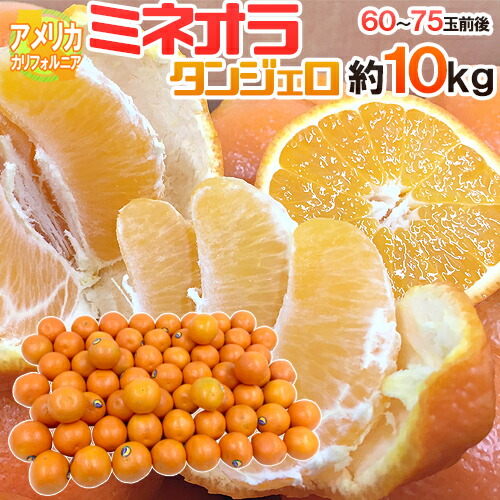 ”ミネオラオレンジ” 60～75玉前後 約10kg カリフォルニア産 ミネオラタンジェロ【予約 3月以降】 送料無料