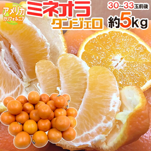 ”ミネオラオレンジ” 30～33玉前後 約5kg カリフォルニア産 ミネオラタンジェロ【予約 3月以降】 送料無料