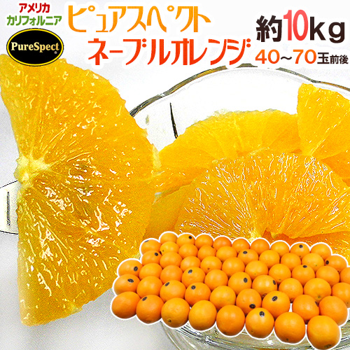 カリフォルニア産 最大78%OFFクーポン プレミアムオレンジ 美品 ”ピュアスペクトネーブルオレンジ” 40〜70玉前後 送料無料 12月末以降 予約 約10kg