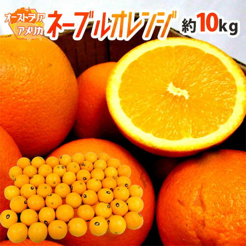 楽天市場】”ネーブルオレンジ” 約15〜17kg 大きさおまかせ