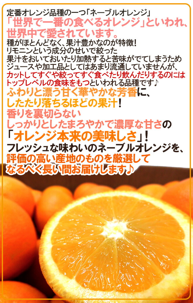 ネーブルオレンジミカン ざっと10kg おっきいさおまかせ アメリカ合衆国 オーストラリア創生 取って置く 入荷オーダ派遣 送料無料 Maxani Nl