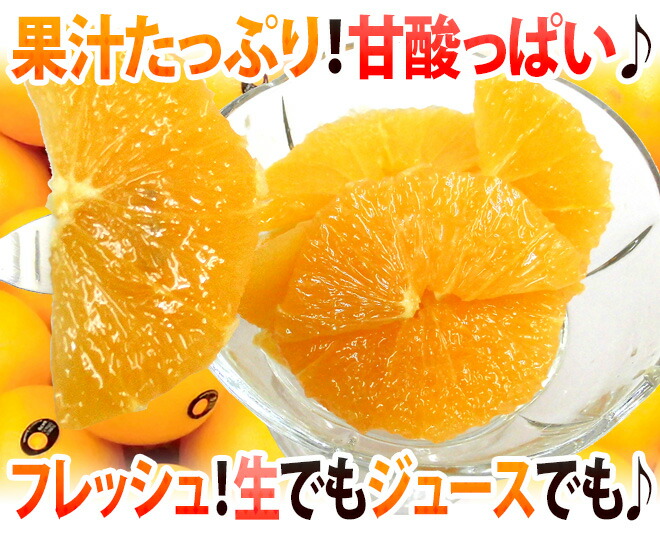 市場 ネーブルオレンジ アメリカ 大きさおまかせ オーストラリア産 約5kg