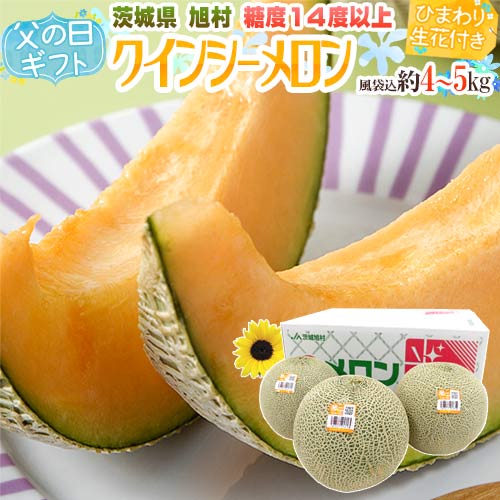 父の日ギフト ”旭村 クインシーメロン” 秀品 3～6玉 風袋込約4～5kg＋ひまわり生花1本【予約 6月8～15日お届け予定】 送料無料