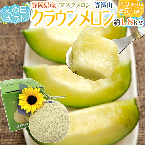 父の日ギフト ”クラウンメロン” 等級 山 1玉 約1.8kg＋ひまわり生花1本【予約 6月8～15日お届け予定】 送料無料