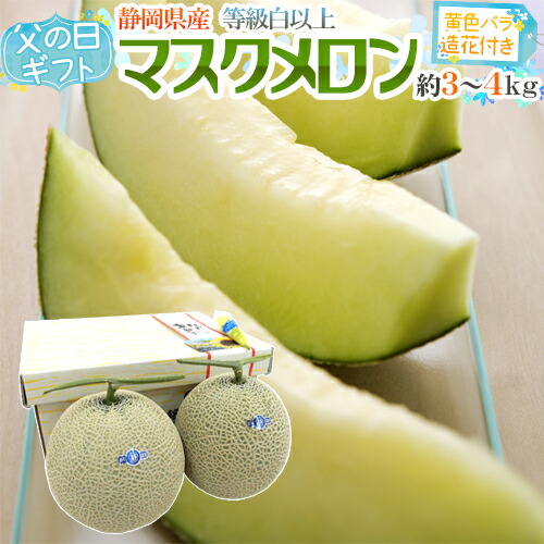 父の日ギフト 静岡産 ”マスクメロン” 2玉 約3.5～4kg前後 黄色バラ造花付き【予約 6月8～15日お届け予定】 送料無料