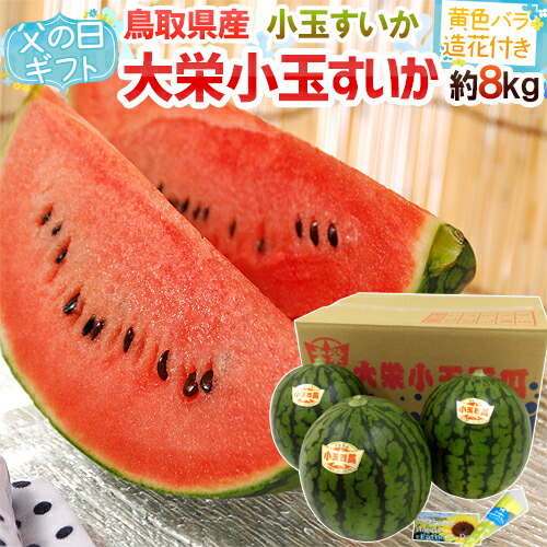 父の日ギフト ”大栄小玉スイカ 姫甘泉” 3～4玉 約8kg＋黄色バラ造花1本 専用産地箱 鳥取産【予約 6月8～15日お届け予定】 送料無料