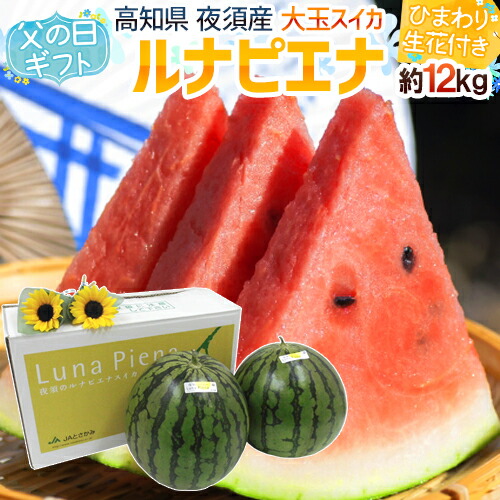 父の日ギフト ”ルナピエナすいか” 秀品 2玉 約12kg以上＋ひまわり生花2本【予約 6月8～15日お届け予定】 送料無料