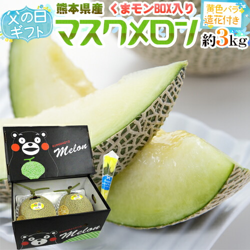 父の日ギフト ”マスクメロン” 黄色バラ造花付き くまモン化粧箱 2玉 約3kg以上 熊本産【予約 6月8～15日お届け予定】 送料無料