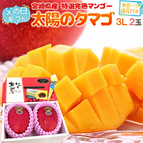 父の日ギフト ”太陽のタマゴ” 大玉3L 2玉＋黄色バラ造花1本 産地化粧箱【予約 6月8～15日お届け予定】